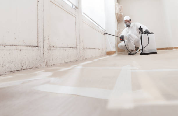 24/7 Emergency Mold Inspection experts in Greenville, TX